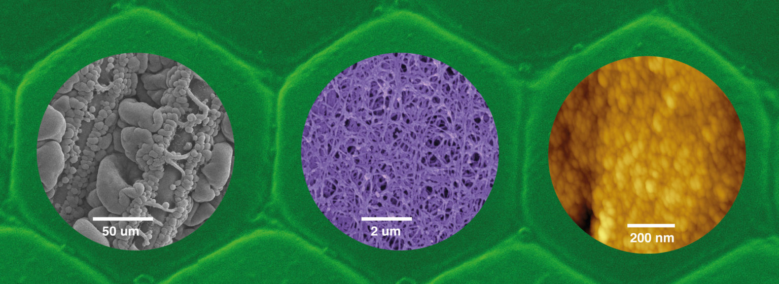 Green Chemistry & Nanotechnology – Deutsches Textilforschungszentrum ...